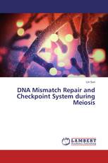 DNA Mismatch Repair and Checkpoint System during Meiosis
