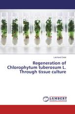 Regeneration of Chlorophytum tuberosum L. Through tissue culture