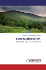 Banana production