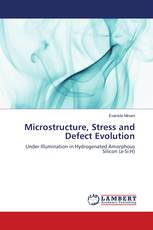Microstructure, Stress and Defect Evolution
