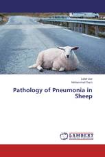Pathology of Pneumonia in Sheep