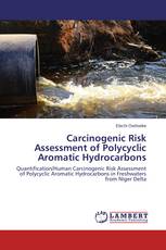 Carcinogenic Risk Assessment of Polycyclic Aromatic Hydrocarbons