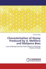 Characterization of Honey Produced by A. Mellifera and Melipona Bees