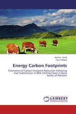 Energy Carbon Footprints