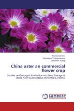 China aster an commercial flower crop