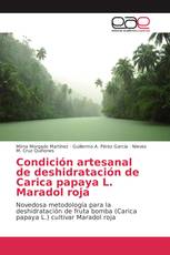 Condición artesanal de deshidratación de Carica papaya L. Maradol roja