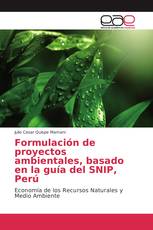 Formulación de proyectos ambientales, basado en la guía del SNIP, Perú