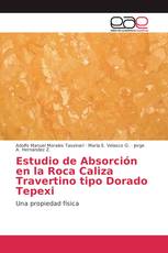 Estudio de Absorción en la Roca Caliza Travertino tipo Dorado Tepexi