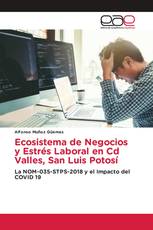 Ecosistema de Negocios y Estrés Laboral en Cd Valles, San Luis Potosí