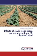 Effects of cover crops-green manure on cabbage (B. oleracea) yield