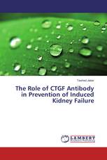 The Role of CTGF Antibody in Prevention of Induced Kidney Failure