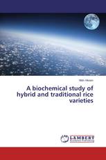 A biochemical study of hybrid and traditional rice varieties