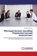 Методическое пособие Управленческий консалтинг