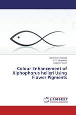 Colour Enhancement of Xiphophorus helleri Using Flower Pigments