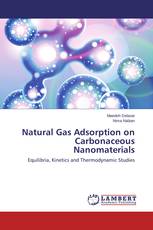 Natural Gas Adsorption on Carbonaceous Nanomaterials