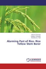 Alarming Pest of Rice- Rice Yellow Stem Borer