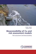 Bioaccessibility of Cu and risk assessment models