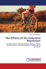 The Effects of the Industrial Revolution