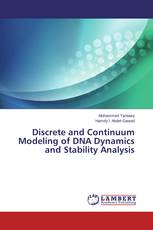 Discrete and Continuum Modeling of DNA Dynamics and Stability Analysis