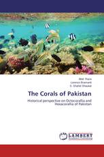 The Corals of Pakistan