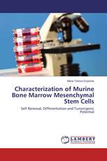 Characterization of Murine Bone Marrow Mesenchymal Stem Cells