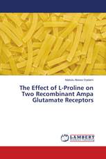The Effect of L-Proline on Two Recombinant Ampa Glutamate Receptors