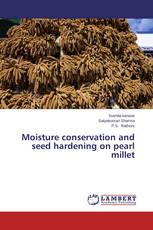 Moisture conservation and seed hardening on pearl millet