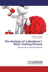 The Analysis of a Newborn’s Brain Cooling Process