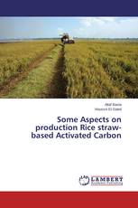 Some Aspects on production Rice straw-based Activated Carbon