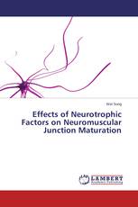 Effects of Neurotrophic Factors on Neuromuscular Junction Maturation