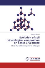 Evolution of soil mineralogical composition on Santa Cruz Island