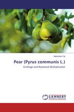 Pear (Pyrus communis L.)