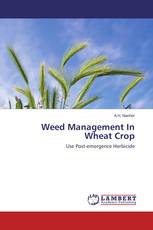 Weed Management In Wheat Crop