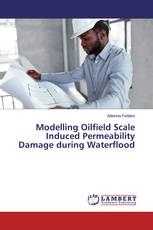 Modelling Oilfield Scale Induced Permeability Damage during Waterflood