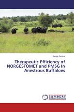 Therapeutic Efficiency of NORGESTOMET and PMSG In Anestrous Buffaloes