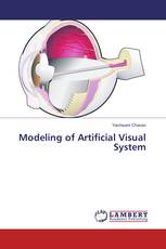 Modeling of Artificial Visual System