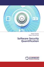 Software Security Quantification