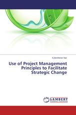 Use of Project Management Principles to Facilitate Strategic Change