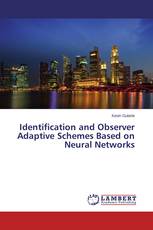 Identification and Observer Adaptive Schemes Based on Neural Networks