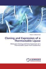 Cloning and Expression of a Thermostable Lipase