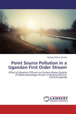 Point Source Pollution in a Ugandan First Order Stream