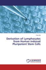 Derivation of Lymphocytes from Human induced Pluripotent Stem Cells