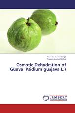 Osmotic Dehydration of Guava (Psidium guajava L.)