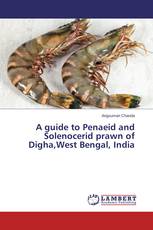 A guide to Penaeid and Solenocerid prawn of Digha,West Bengal, India