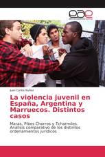 La violencia juvenil en España, Argentina y Marruecos. Distintos casos