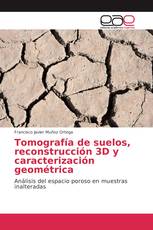 Tomografía de suelos, reconstrucción 3D y caracterización geométrica