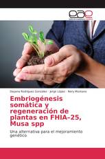 Embriogénesis somática y regeneración de plantas en FHIA–25, Musa spp