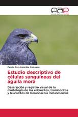 Estudio descriptivo de células sanguíneas del águila mora