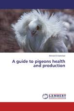A guide to pigeons health and production