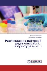 Размножение растений рода Astragalus L. в культуре in vitro